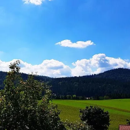 Haus Leutner *